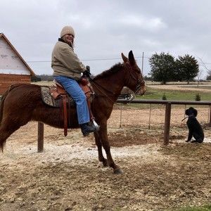 Meet your Posher, Sandra